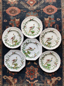 Spode Copeland's Chelsea Bird Dishes 17 Piece Set