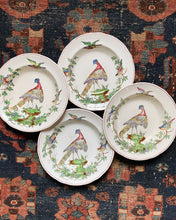 Spode Copeland's Chelsea Bird Dishes 17 Piece Set