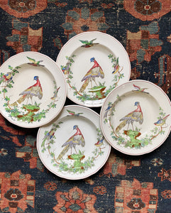 Spode Copeland's Chelsea Bird Dishes 17 Piece Set