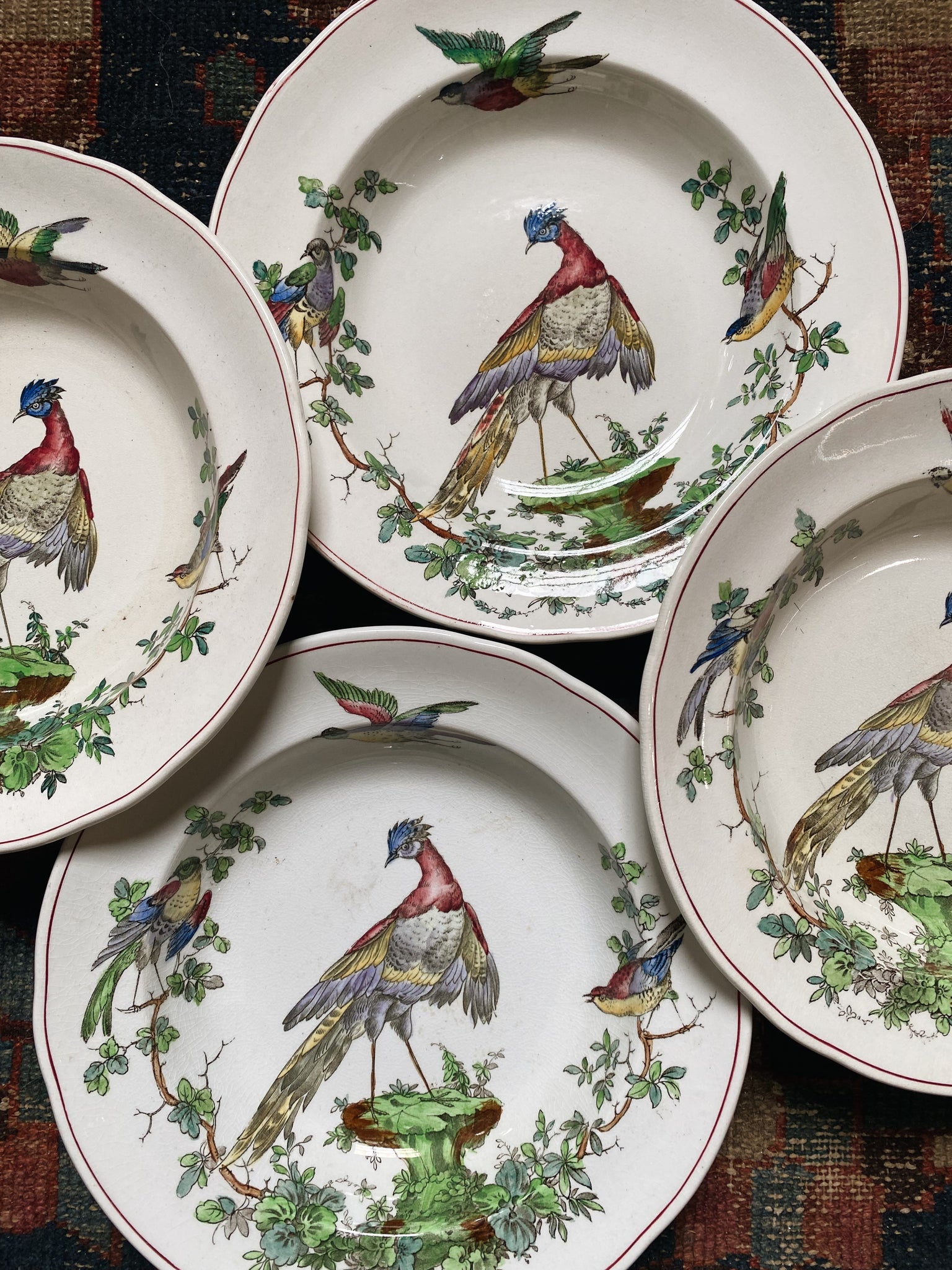 Spode chelsea bird discount