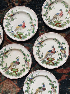 Spode Copeland's Chelsea Bird Dishes 17 Piece Set