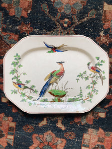 Spode Copeland's Chelsea Bird Dishes 17 Piece Set