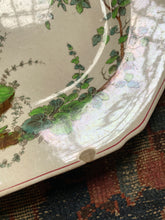 Spode Copeland's Chelsea Bird Dishes 17 Piece Set